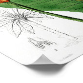  botanische illustratie poster (Hoek)