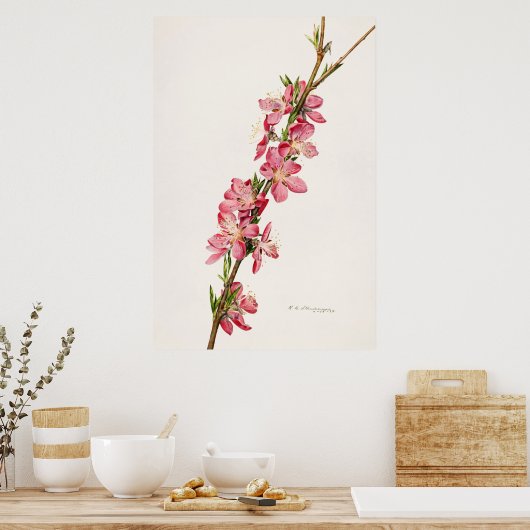 botanische illustratie poster (Keuken)