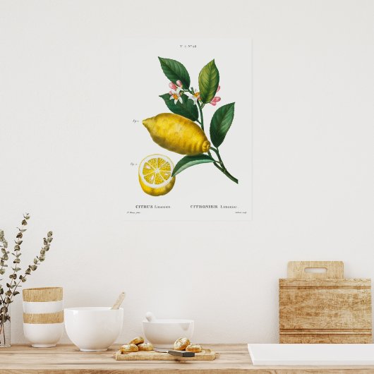  botanische illustratie poster (Keuken)