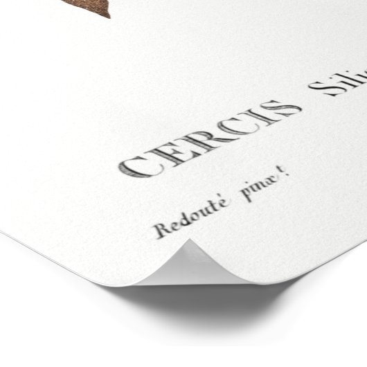  botanische illustratie poster (Hoek)