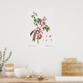  botanische illustratie poster (Keuken)