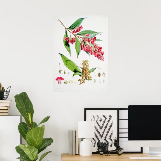  botanische illustratie poster (Thuiskantoor)