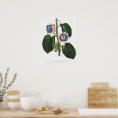  botanische illustratie poster (Keuken)