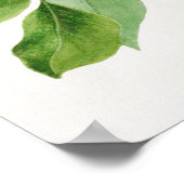  botanische illustratie poster (Hoek)