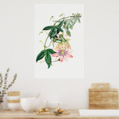  botanische illustratie poster (Keuken)