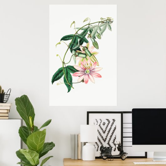  botanische illustratie poster (Thuiskantoor)