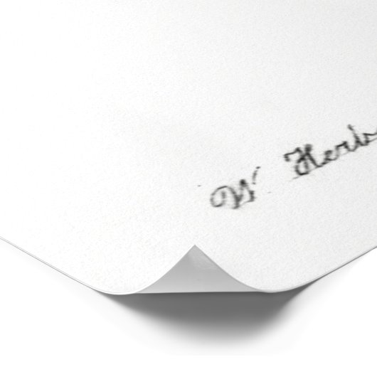  botanische illustratie poster (Hoek)