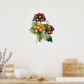 botanische illustratie poster (Keuken)