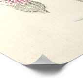  botanische illustratie poster (Hoek)