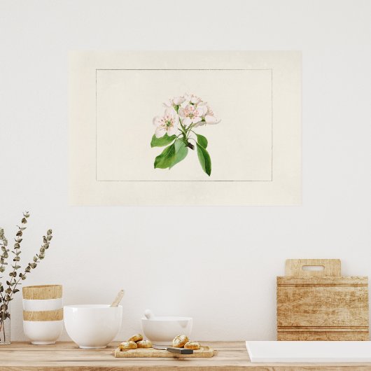 botanische illustratie poster (Keuken)