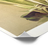  botanische illustratie poster (Hoek)