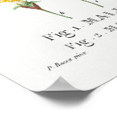 botanische illustratie poster (Hoek)