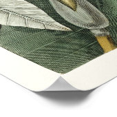  botanische illustratie poster (Hoek)