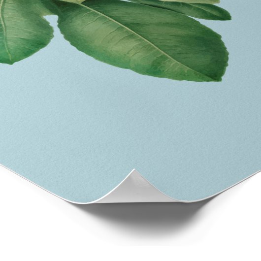 Botanische illustratie poster (Hoek)