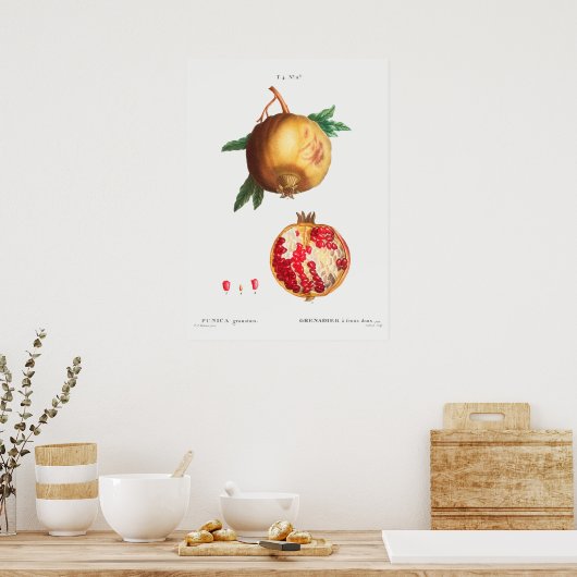  botanische illustratie poster (Keuken)