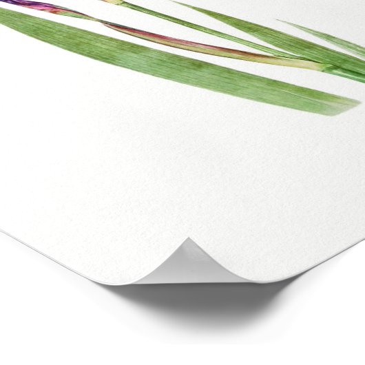  botanische illustratie poster (Hoek)