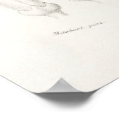 botanische illustratie poster (Hoek)