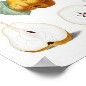  botanische illustratie poster (Hoek)