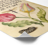 botanische illustratie poster (Hoek)