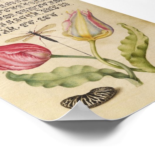  botanische illustratie poster (Hoek)