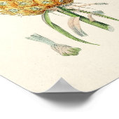 botanische illustratie poster (Hoek)