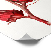  botanische illustratie poster (Hoek)