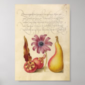  botanische illustratie poster (Voorkant)