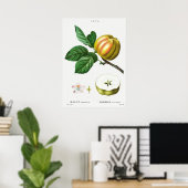botanische illustratie poster (Thuiskantoor)