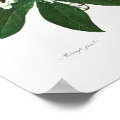  botanische illustratie poster (Hoek)