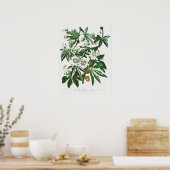 botanische illustratie poster (Keuken)