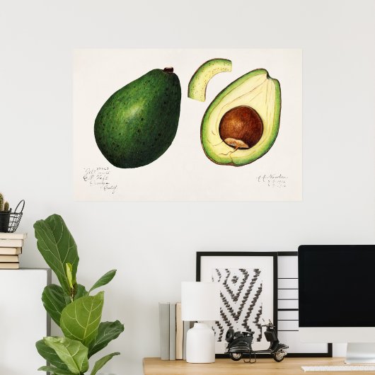  botanische illustratie poster (Thuiskantoor)