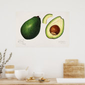 botanische illustratie poster (Keuken)