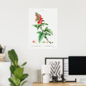  botanische illustratie poster (Thuiskantoor)