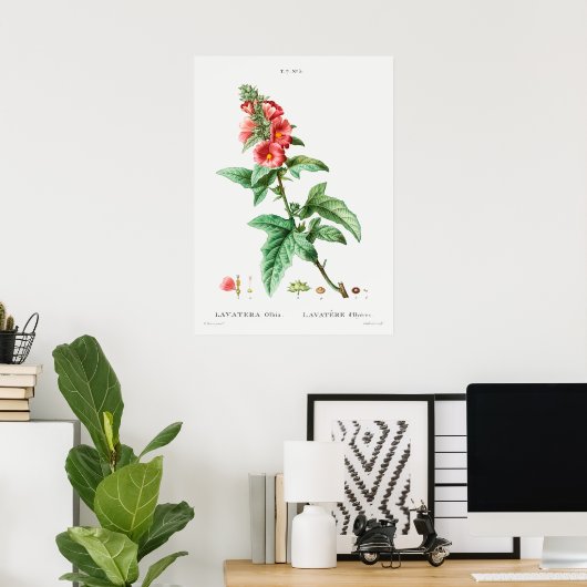  botanische illustratie poster (Thuiskantoor)