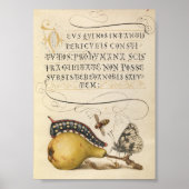  botanische illustratie poster (Voorkant)