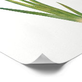  botanische illustratie poster (Hoek)