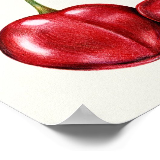 Botanische illustratie poster (Hoek)