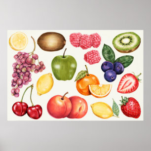 Botanische illustratie poster