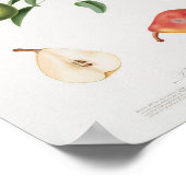  botanische illustratie poster (Hoek)