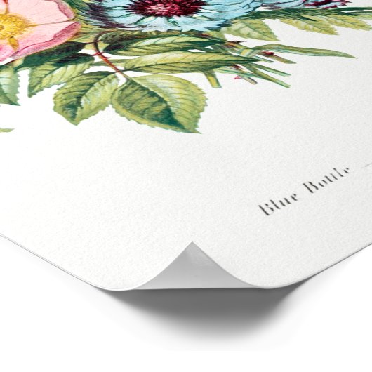  botanische illustratie poster (Hoek)