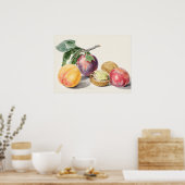  botanische illustratie poster (Keuken)