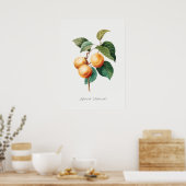  botanische illustratie poster (Keuken)