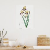  botanische illustratie poster (Keuken)