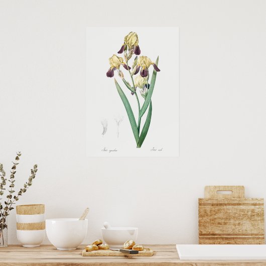  botanische illustratie poster (Keuken)