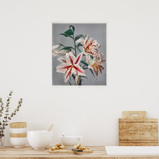  botanische illustratie poster (Keuken)