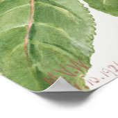  botanische illustratie poster (Hoek)