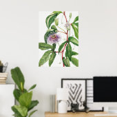  botanische illustratie poster (Thuiskantoor)