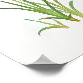  botanische illustratie poster (Hoek)