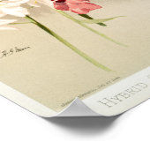 botanische illustratie poster (Hoek)