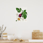  botanische illustratie poster (Keuken)